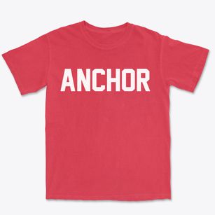 Anchor Illinois Classic Block Premium Heavyweight T-shirt