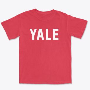 Yale Illinois Classic Block Premium Heavyweight T-shirt