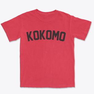 Kokomo Indiana Classic Curve Premium Heavyweight T-shirt