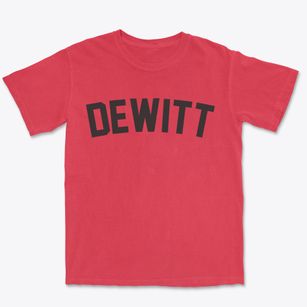 Dewitt Arkansas Classic Curve Premium Heavyweight T-shirt