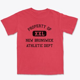 New Brunswick New Jersey Athletic Dept Premium Heavyweight T-shirt