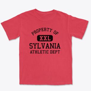 Sylvania Alabama Athletic Dept Premium Heavyweight T-shirt