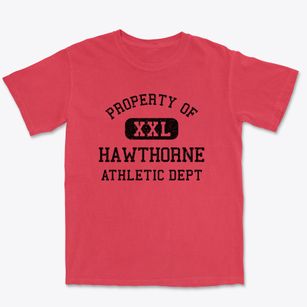 Hawthorne Florida Athletic Dept Premium Heavyweight T-shirt