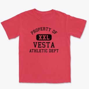 Vesta Minnesota Athletic Dept Premium Heavyweight T-shirt