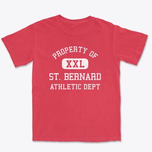 St. Bernard Ohio Athletic Dept Premium Heavyweight T-shirt