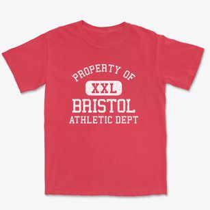 Bristol New Hampshire Athletic Dept Premium Heavyweight T-shirt