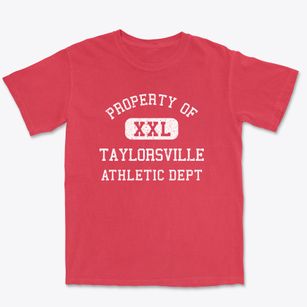 Taylorsville North Carolina Athletic Dept Premium Heavyweight T-shirt