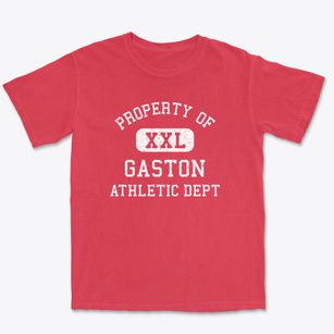 Gaston South Carolina Athletic Dept Premium Heavyweight T-shirt