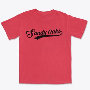 Sandy Oaks Texas Vintage Team Premium Heavyweight T-shirt