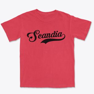 Scandia Minnesota Vintage Team Premium Heavyweight T-shirt