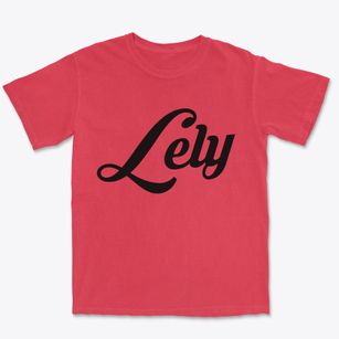 Lely Florida Vintage Team Premium Heavyweight T-shirt