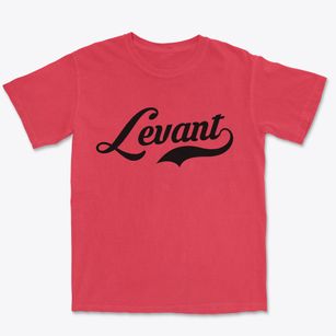 Levant Maine Vintage Team Premium Heavyweight T-shirt