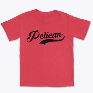 Pelican Wisconsin Vintage Team Premium Heavyweight T-shirt