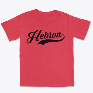 Hebron Nebraska Vintage Team Premium Heavyweight T-shirt