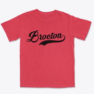 Brocton New York Vintage Team Premium Heavyweight T-shirt