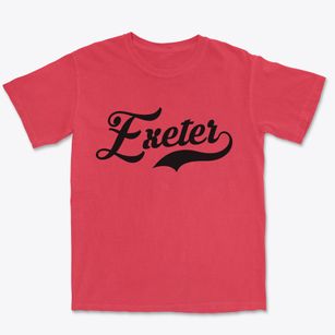 Exeter New York Vintage Team Premium Heavyweight T-shirt
