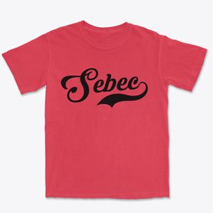 Sebec Maine Vintage Team Premium Heavyweight T-shirt