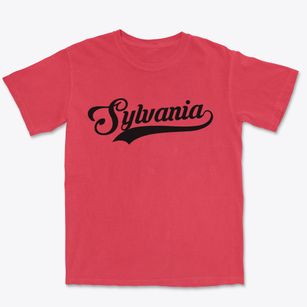 Sylvania Pennsylvania Vintage Team Premium Heavyweight T-shirt