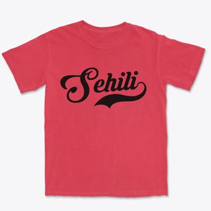 Sehili Arizona Vintage Team Premium Heavyweight T-shirt