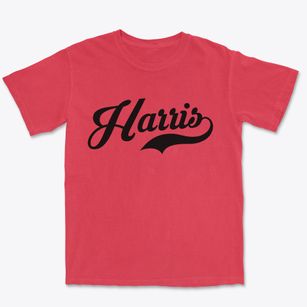 Harris Missouri Vintage Team Premium Heavyweight T-shirt