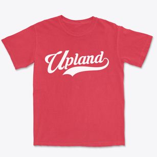 Upland Pennsylvania Vintage Team Premium Heavyweight T-shirt