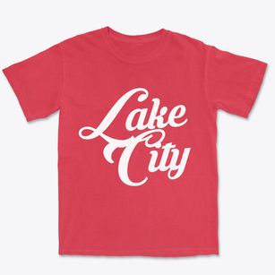 Lake City Pennsylvania Vintage Team Premium Heavyweight T-shirt