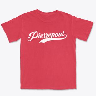 Pierrepont New York Vintage Team Premium Heavyweight T-shirt