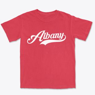 Albany Kentucky Vintage Team Premium Heavyweight T-shirt