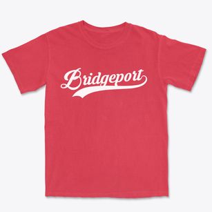 Bridgeport New York Vintage Team Premium Heavyweight T-shirt
