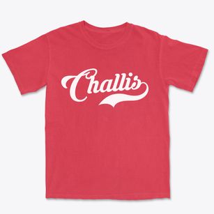 Challis Idaho Vintage Team Premium Heavyweight T-shirt