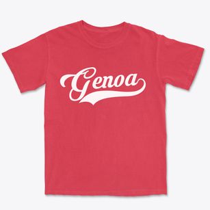 Genoa Nevada Vintage Team Premium Heavyweight T-shirt