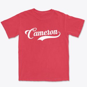 Cameron New York Vintage Team Premium Heavyweight T-shirt