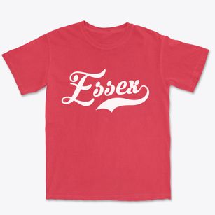 Essex New York Vintage Team Premium Heavyweight T-shirt