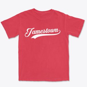 Jamestown Pennsylvania Vintage Team Premium Heavyweight T-shirt