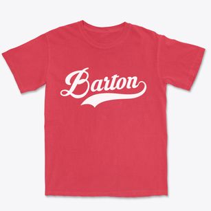 Barton North Dakota Vintage Team Premium Heavyweight T-shirt