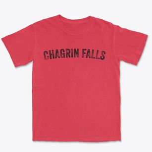 Chagrin Falls Ohio Timeless Retro Premium Heavyweight T-shirt