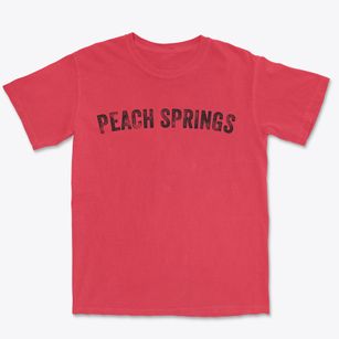 Peach Springs Arizona Timeless Retro Premium Heavyweight T-shirt