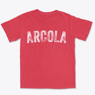 Arcola Mississippi Timeless Retro Premium Heavyweight T-shirt