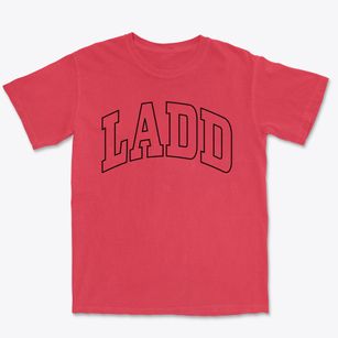 Ladd Illinois Trendy Block Premium Heavyweight T-shirt