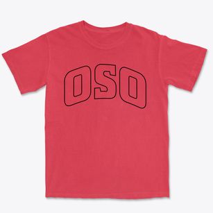 Oso Washington Trendy Block Premium Heavyweight T-shirt