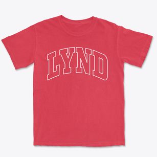 Lynd Minnesota Trendy Block Premium Heavyweight T-shirt