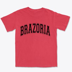 Brazoria Texas Varsity Premium Heavyweight T-shirt