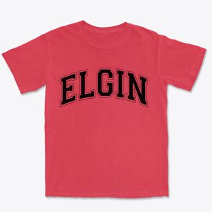 Elgin North Dakota Varsity Premium Heavyweight T-shirt
