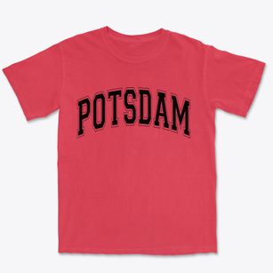 Potsdam New York Varsity Premium Heavyweight T-shirt