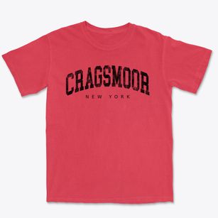 Cragsmoor New York Urban Vibe Premium Heavyweight T-shirt