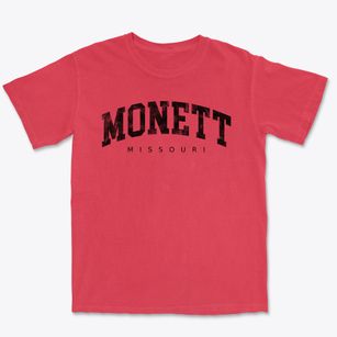 Monett Missouri Urban Vibe Premium Heavyweight T-shirt