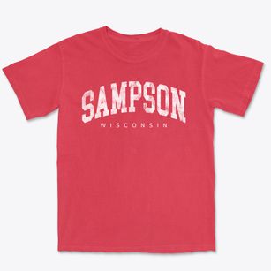 Sampson Wisconsin Urban Vibe Premium Heavyweight T-shirt