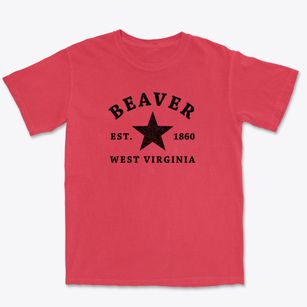 Beaver West Virginia Star Premium Heavyweight T-shirt