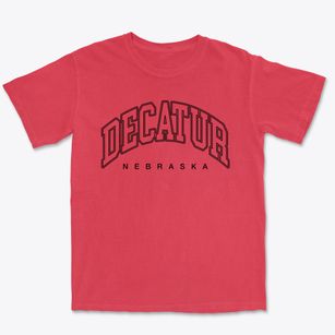 Decatur Nebraska Inline Premium Heavyweight T-shirt