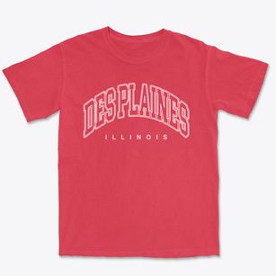 Des Plaines Illinois Inline Premium Heavyweight T-shirt